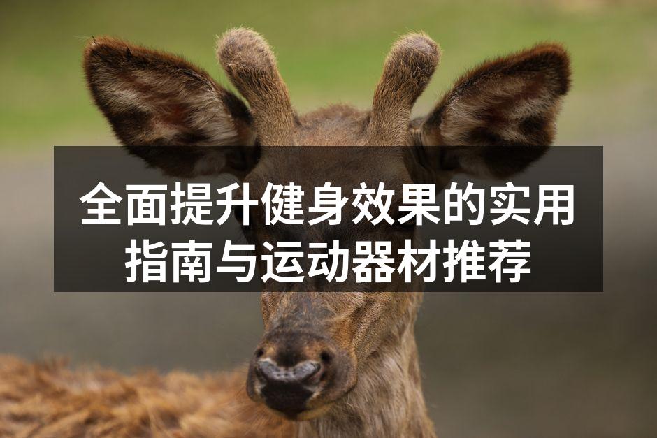 全面提升健身效果的实用指南与运动器材推荐